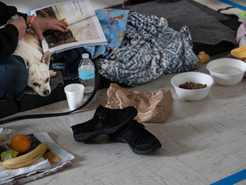 Person with dog on the floor of a shelter