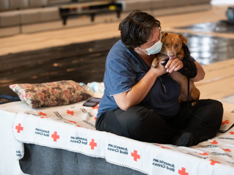 Image of a person holding there dog and sitting on top of a cot in a cooling shelter.