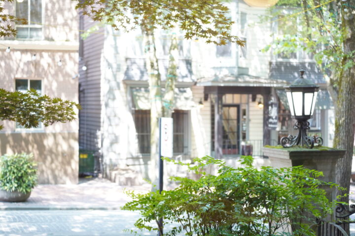 Image of an outdoor space in downtown Portland with a light post, a house, and nature.